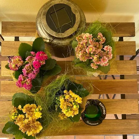 Rina 4* بيزارو