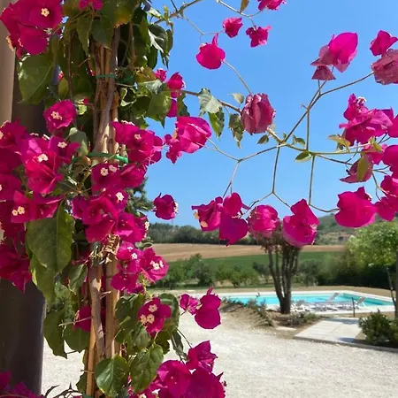 Rina Guest house Pesaro