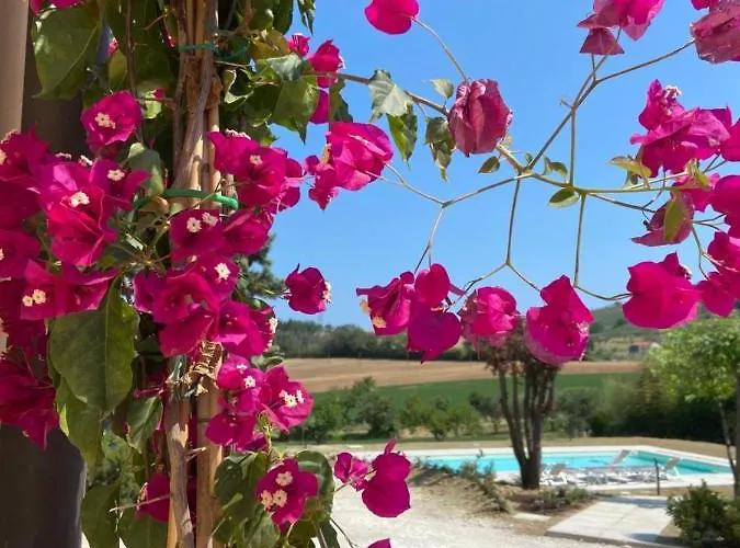 Rina Affittacamere Pesaro