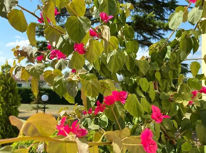 Affittacamere Rina 4*