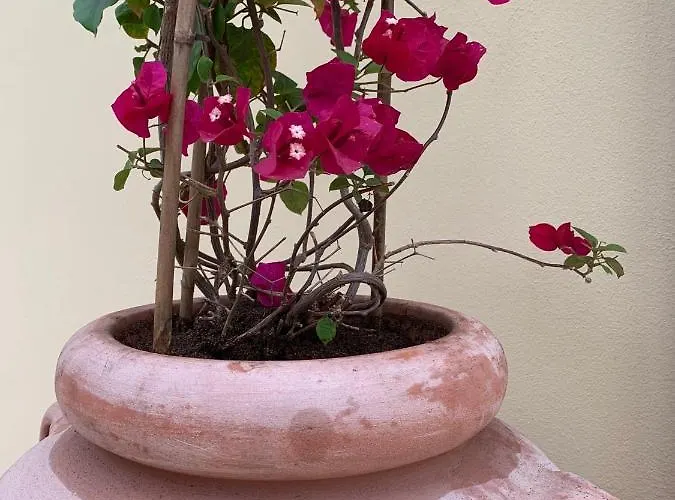 Rina Affittacamere 4*