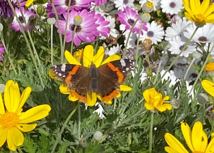 Affittacamere Rina Pesaro