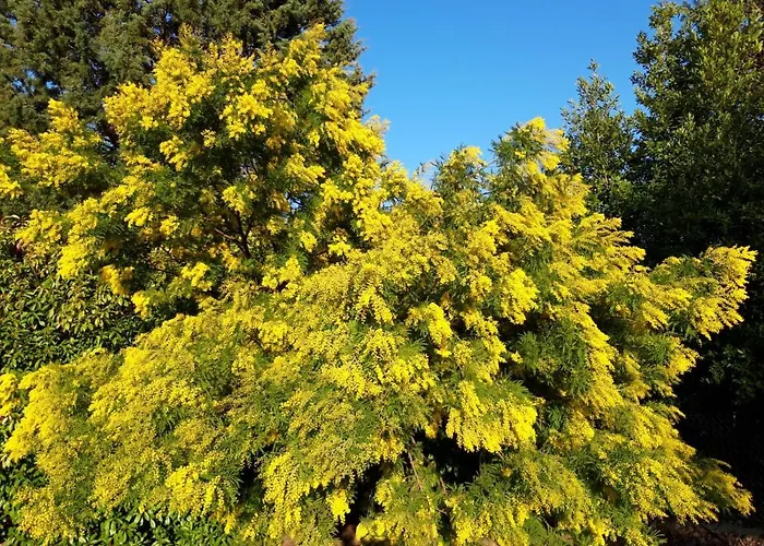 Affittacamere Rina Pesaro